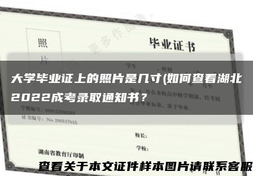 大学毕业证上的照片是几寸(如何查看湖北2022成考录取通知书？缩略图