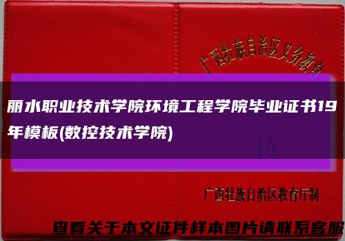 丽水职业技术学院环境工程学院毕业证书19年模板(数控技术学院)缩略图