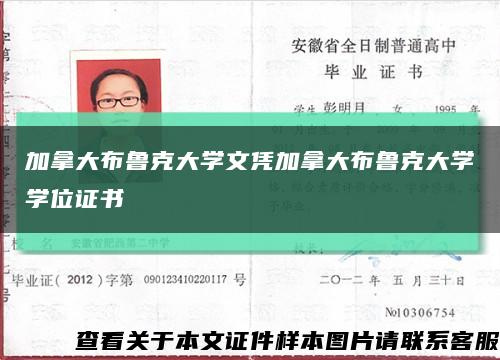 加拿大布鲁克大学文凭加拿大布鲁克大学学位证书缩略图