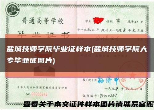 盐城技师学院毕业证样本(盐城技师学院大专毕业证图片)缩略图