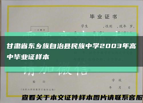 甘肃省东乡族自治县民族中学2003年高中毕业证样本缩略图