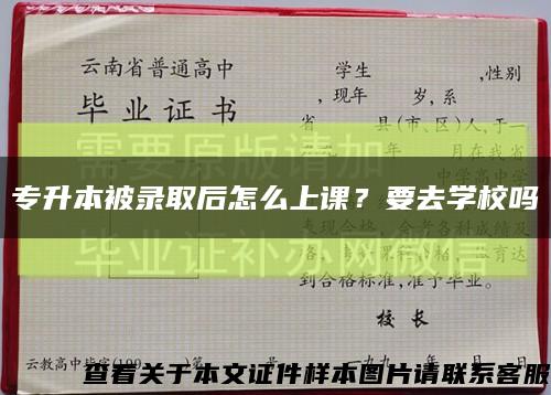 专升本被录取后怎么上课？要去学校吗缩略图