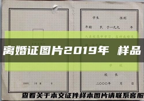 离婚证图片2019年 样品缩略图