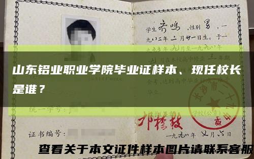 山东铝业职业学院毕业证样本、现任校长是谁？缩略图