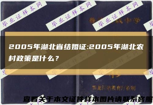 2005年湖北省结婚证:2005年湖北农村政策是什么？缩略图