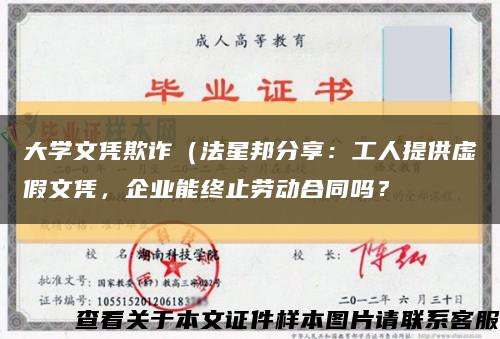 大学文凭欺诈（法星邦分享：工人提供虚假文凭，企业能终止劳动合同吗？缩略图