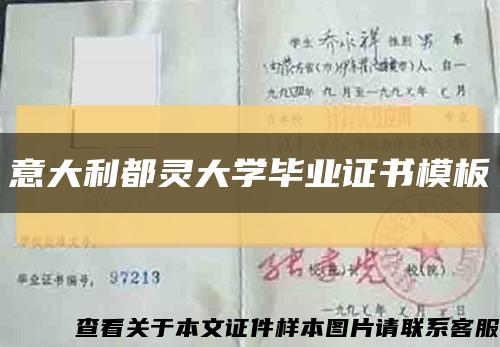 意大利都灵大学毕业证书模板缩略图