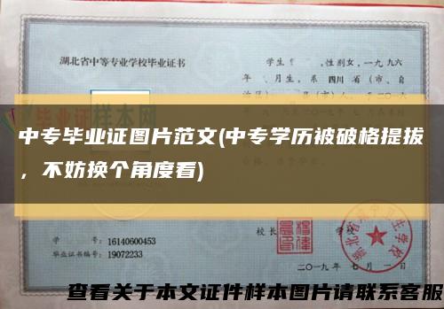 中专毕业证图片范文(中专学历被破格提拔，不妨换个角度看)缩略图