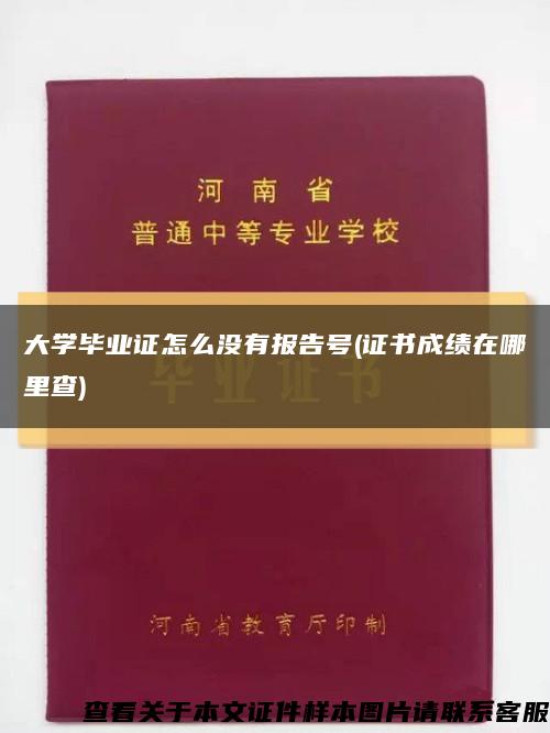 大学毕业证怎么没有报告号(证书成绩在哪里查)缩略图