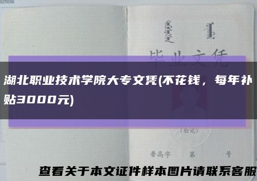 湖北职业技术学院大专文凭(不花钱，每年补贴3000元)缩略图