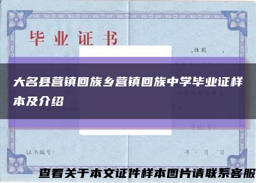 大名县营镇回族乡营镇回族中学毕业证样本及介绍缩略图