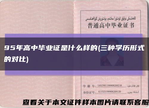 95年高中毕业证是什么样的(三种学历形式的对比)缩略图