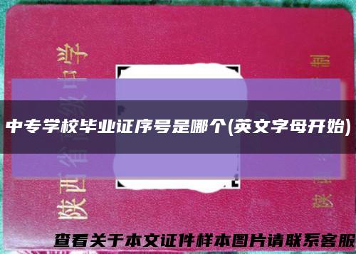 中专学校毕业证序号是哪个(英文字母开始)缩略图