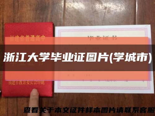 浙江大学毕业证图片(学城市)缩略图