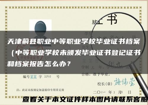 天津蓟县职业中等职业学校毕业证书档案（中等职业学校未颁发毕业证书登记证书和档案报告怎么办？缩略图