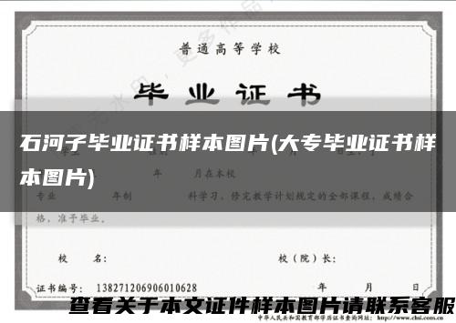 石河子毕业证书样本图片(大专毕业证书样本图片)缩略图