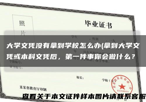 大学文凭没有拿到学校怎么办(拿到大学文凭或本科文凭后，第一件事你会做什么？缩略图