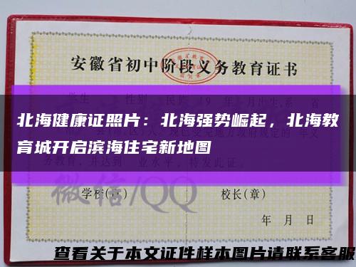 北海健康证照片：北海强势崛起，北海教育城开启滨海住宅新地图缩略图