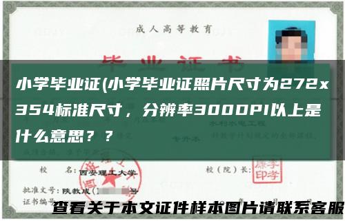 小学毕业证(小学毕业证照片尺寸为272x354标准尺寸，分辨率300DPI以上是什么意思？？缩略图