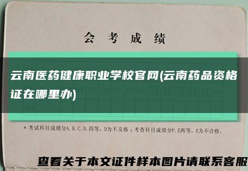 云南医药健康职业学校官网(云南药品资格证在哪里办)缩略图