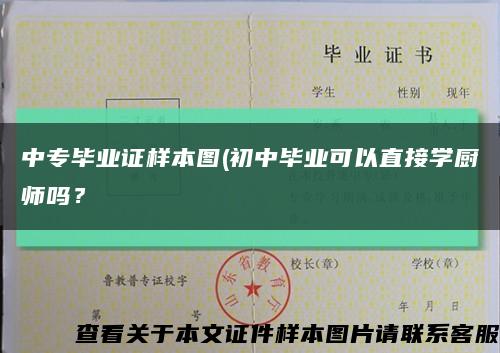 中专毕业证样本图(初中毕业可以直接学厨师吗？缩略图