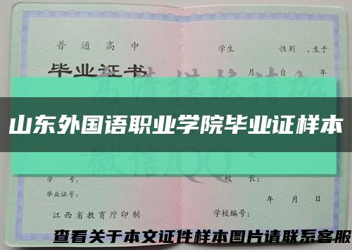 山东外国语职业学院毕业证样本缩略图