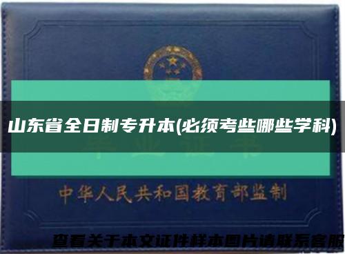 山东省全日制专升本(必须考些哪些学科)缩略图