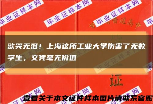 欲哭无泪！上海这所工业大学伤害了无数学生，文凭毫无价值缩略图