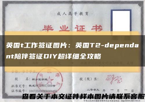 英国t工作签证图片：英国T2-dependant陪伴签证DIY超详细全攻略缩略图