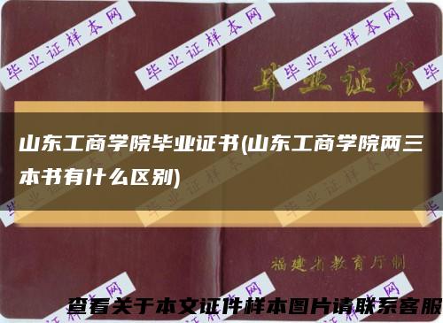 山东工商学院毕业证书(山东工商学院两三本书有什么区别)缩略图