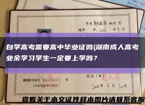 自学高考需要高中毕业证吗(湖南成人高考业余学习学生一定要上学吗？缩略图