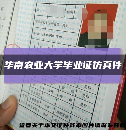 华南农业大学毕业证仿真件缩略图