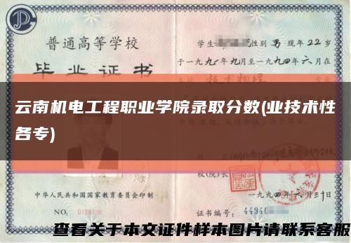 云南机电工程职业学院录取分数(业技术性各专)缩略图