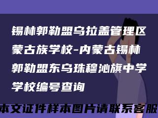 锡林郭勒盟乌拉盖管理区蒙古族学校-内蒙古锡林郭勒盟东乌珠穆沁旗中学学校编号查询缩略图