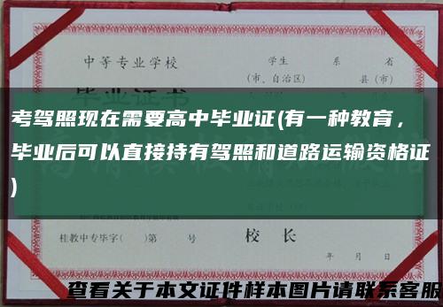 考驾照现在需要高中毕业证(有一种教育，毕业后可以直接持有驾照和道路运输资格证)缩略图