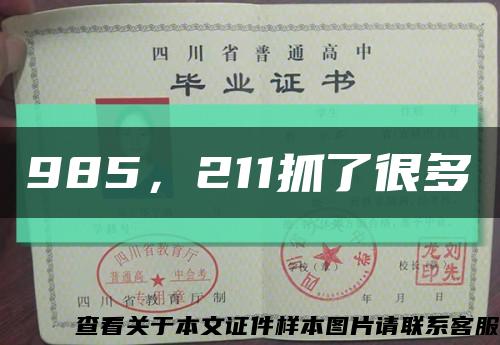 985，211抓了很多缩略图