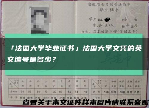 「法国大学毕业证书」法国大学文凭的英文编号是多少？缩略图