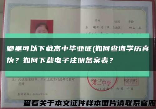 哪里可以下载高中毕业证(如何查询学历真伪？如何下载电子注册备案表？缩略图