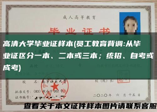 高清大学毕业证样本(员工教育背调:从毕业证区分一本、二本或三本；统招、自考或成考)缩略图