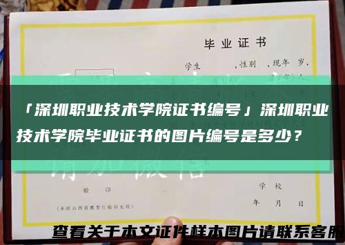 「深圳职业技术学院证书编号」深圳职业技术学院毕业证书的图片编号是多少？缩略图