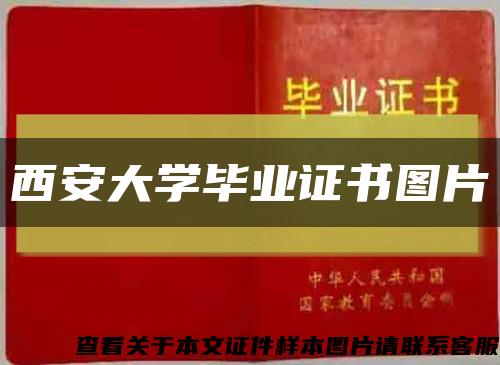 西安大学毕业证书图片缩略图