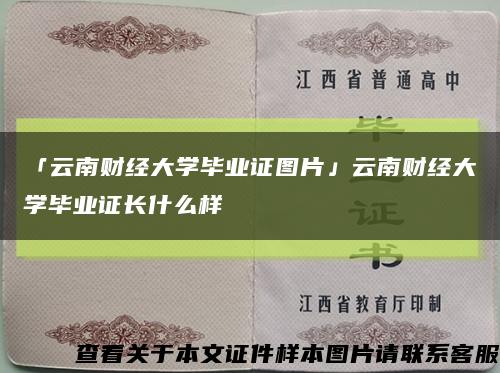 「云南财经大学毕业证图片」云南财经大学毕业证长什么样缩略图