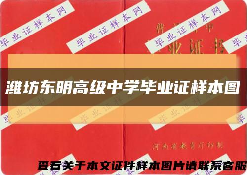 潍坊东明高级中学毕业证样本图缩略图