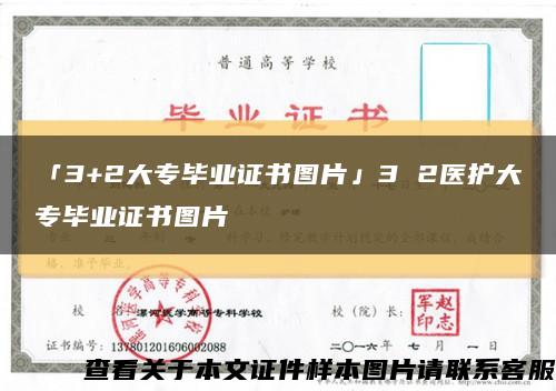 「3+2大专毕业证书图片」3 2医护大专毕业证书图片缩略图