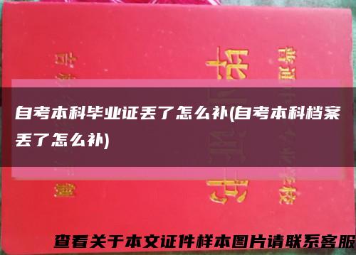 自考本科毕业证丢了怎么补(自考本科档案丢了怎么补)缩略图