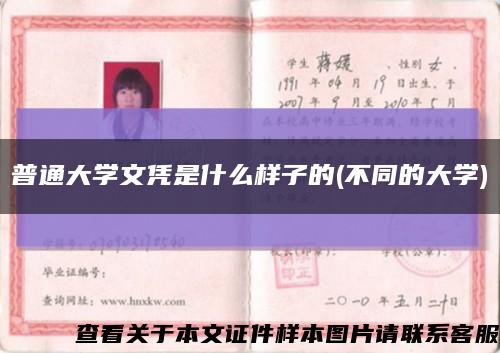 普通大学文凭是什么样子的(不同的大学)缩略图