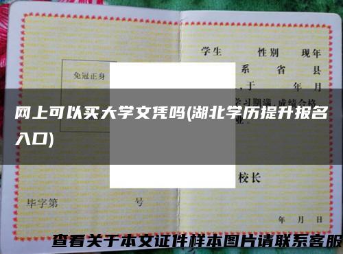 网上可以买大学文凭吗(湖北学历提升报名入口)缩略图