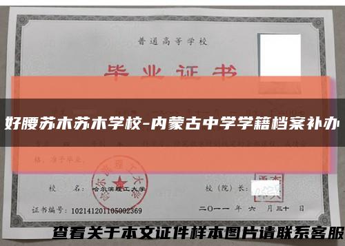 好腰苏木苏木学校-内蒙古中学学籍档案补办缩略图