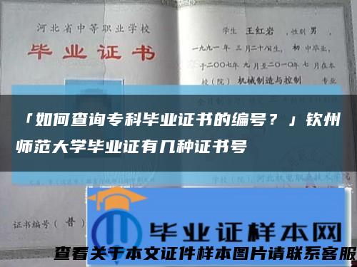 「如何查询专科毕业证书的编号？」钦州师范大学毕业证有几种证书号缩略图