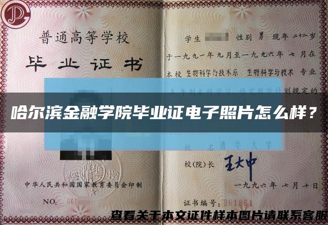 哈尔滨金融学院毕业证电子照片怎么样？缩略图